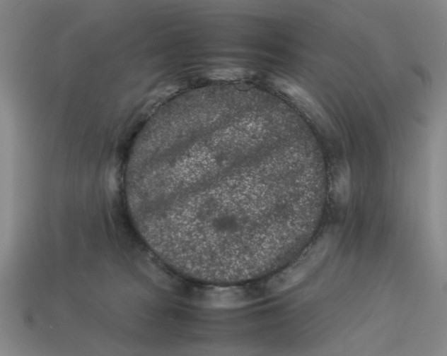 X0000113240277200910011332