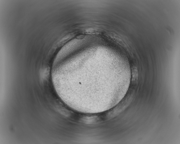 X0000113240278200910011332