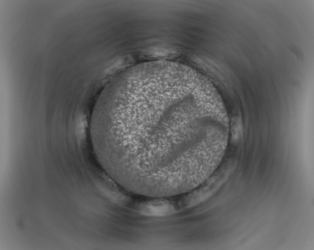 X0000113240279200910011332