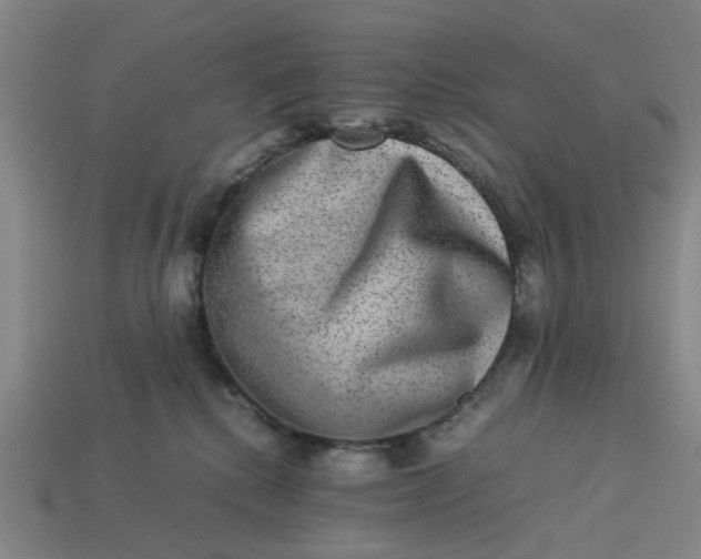 X0000113240280200910011332