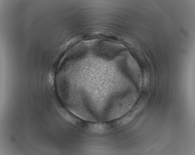 X0000113240282200910011332