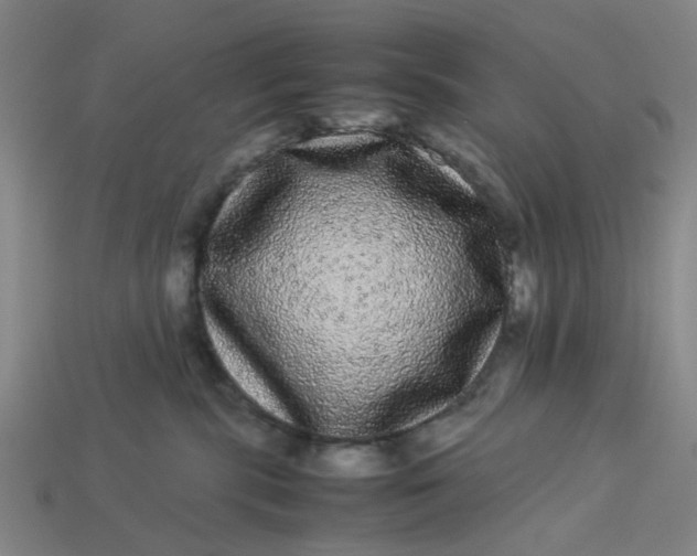 X0000113240283200910011332