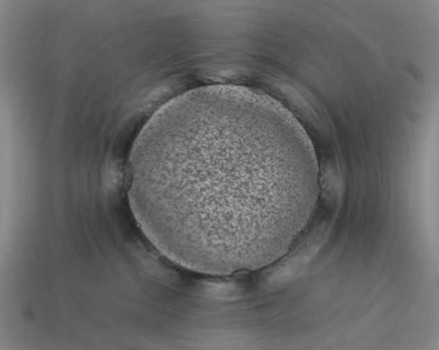 X0000113240284200910011332