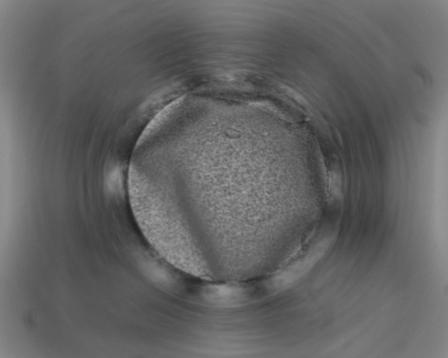 X0000113240286200910011332