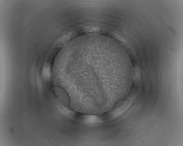 X0000113240287200910011332