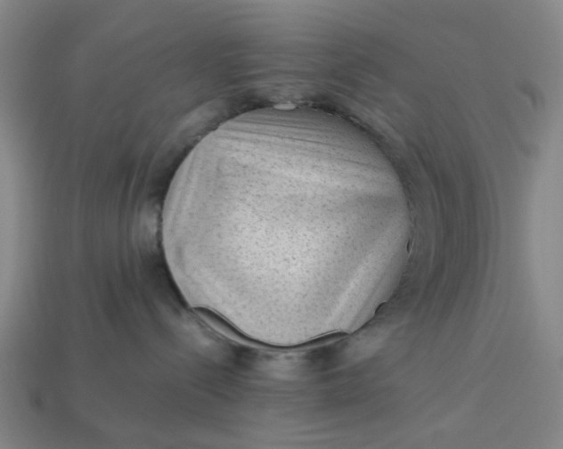 X0000113240288200910011332