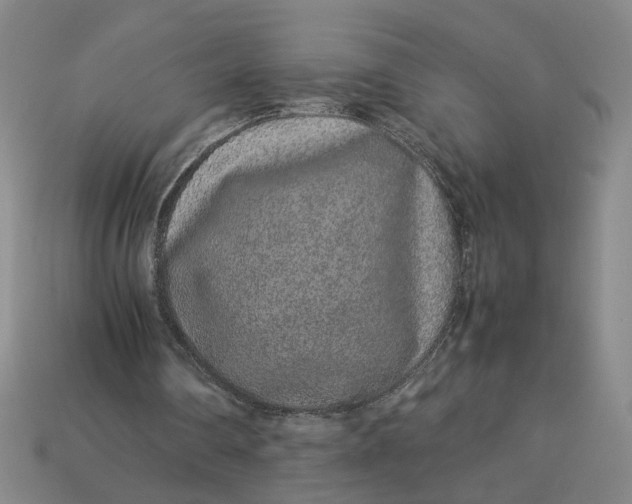 X0000113240290200910011331