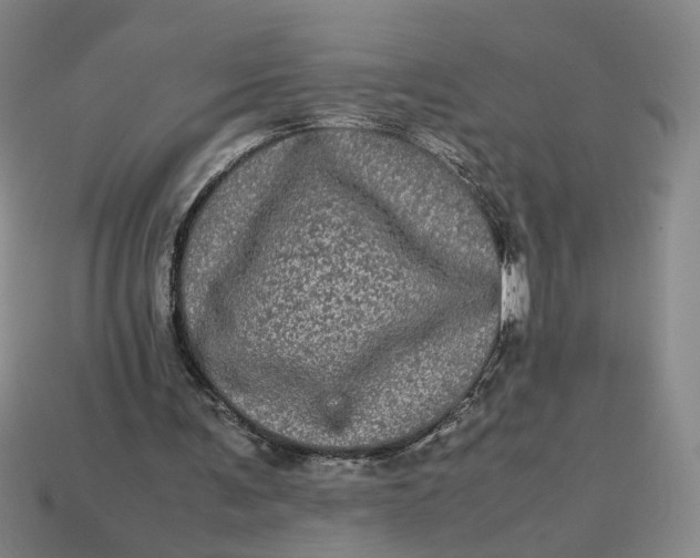 X0000113240291200910011331