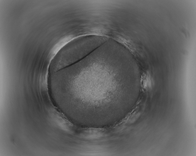 X0000113240292200910011331