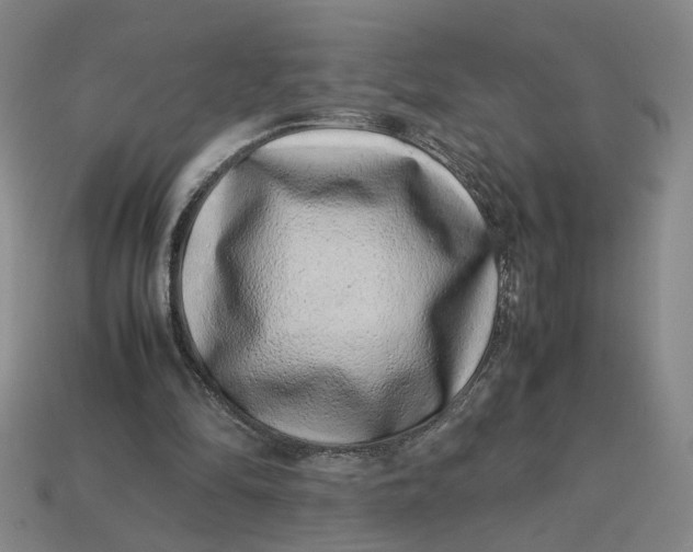 X0000113240294200910011331