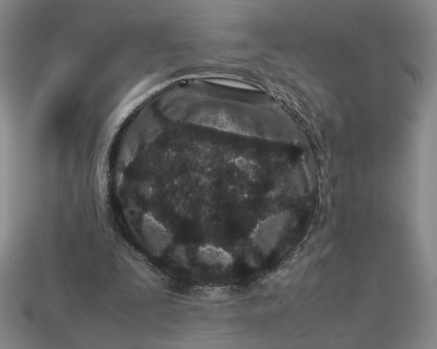 X0000113240295200910011331