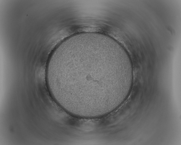 X0000113240297200910011331