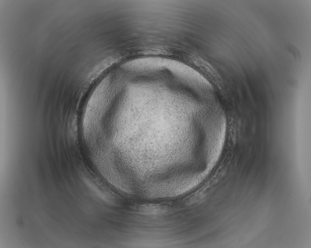 X0000113240298200910011331