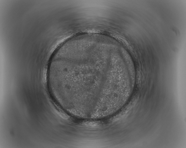 X0000113240299200910011331