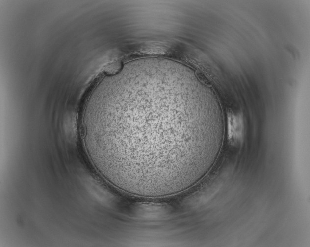 X0000113240300200910011331