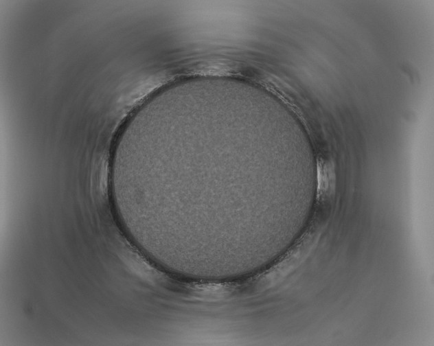 X0000113240301200910011331