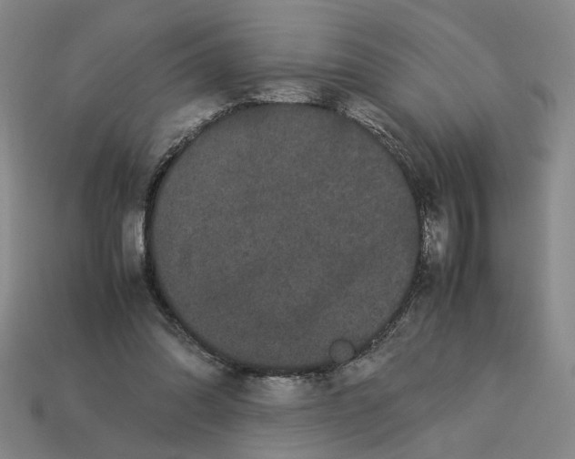 X0000113240302200910011331