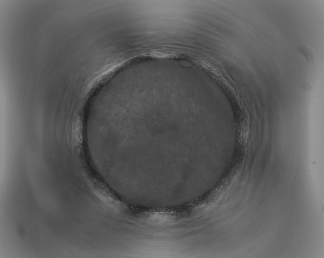 X0000113240303200910011331