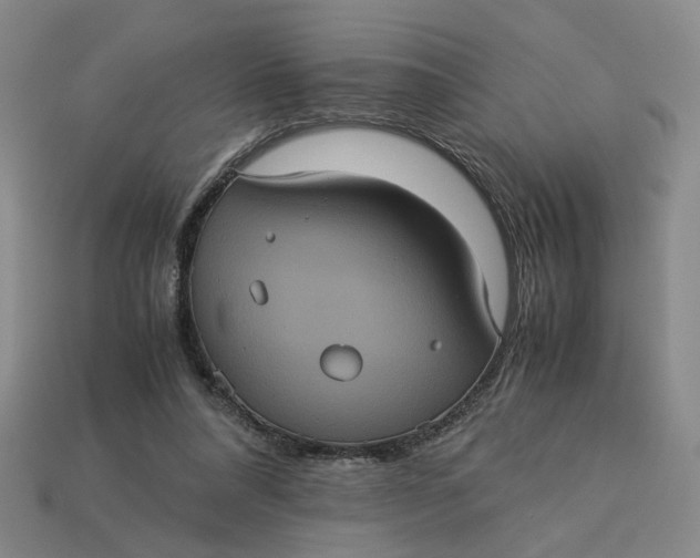 X0000113240304200910011331