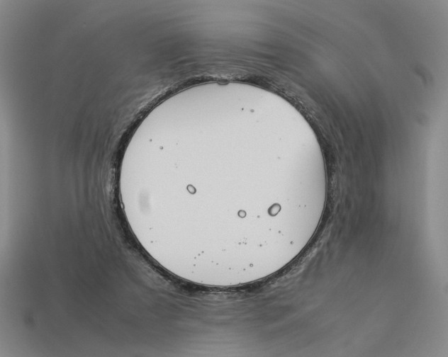 X0000113240305200910011331