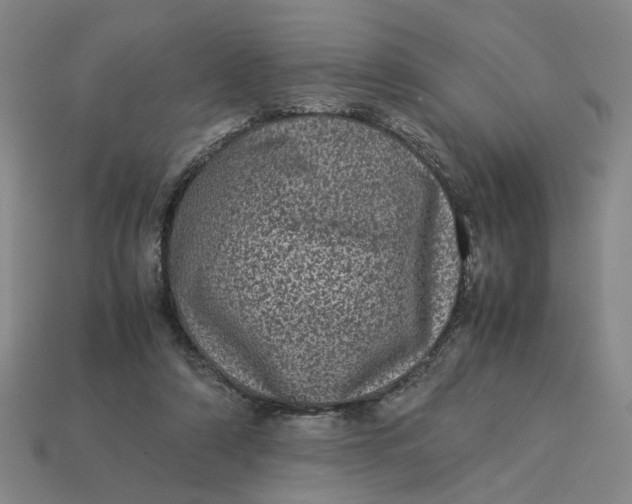 X0000113240306200910011331