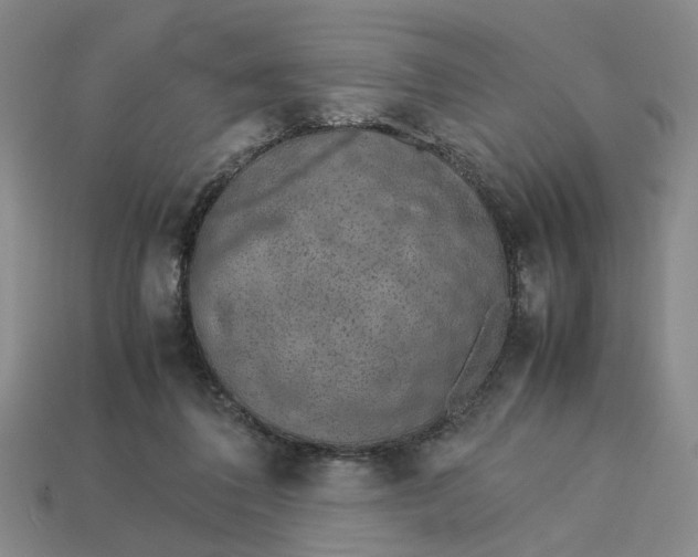 X0000113240308200910011331