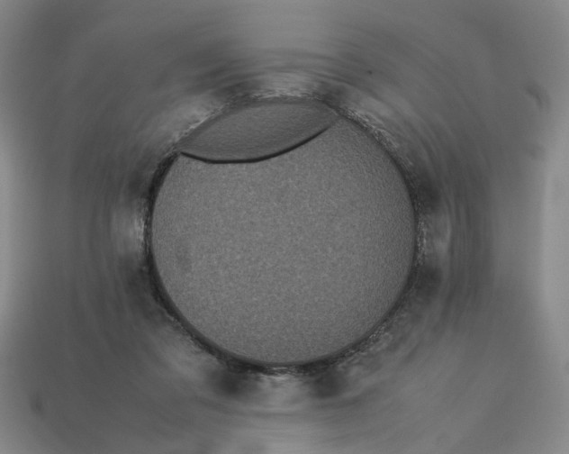 X0000113240309200910011331