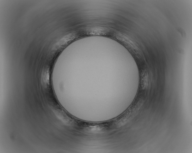 X0000113240310200910011331