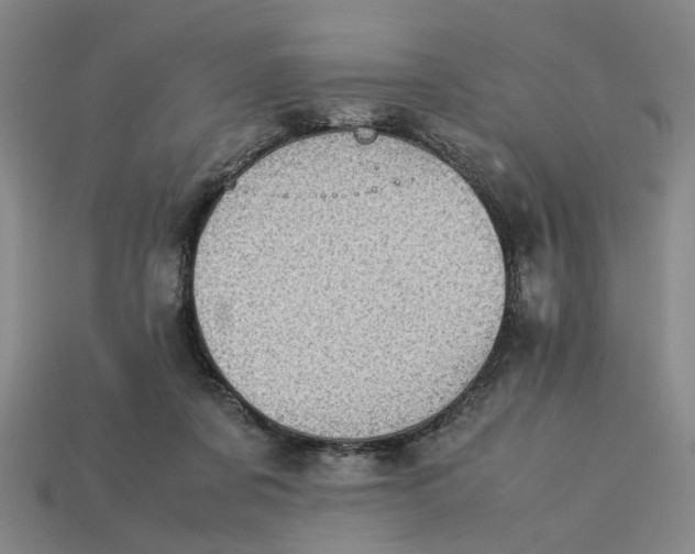 X0000113240311200910011331