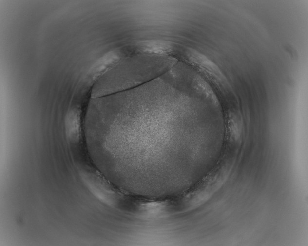 X0000113240312200910011331