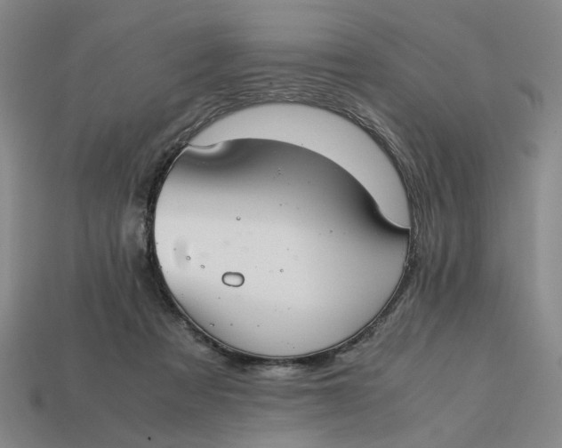 X0000113240313200910011331