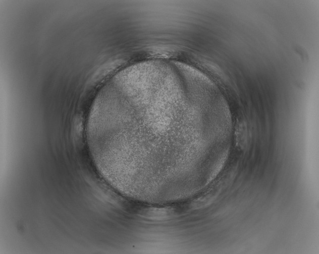 X0000113240314200910011331