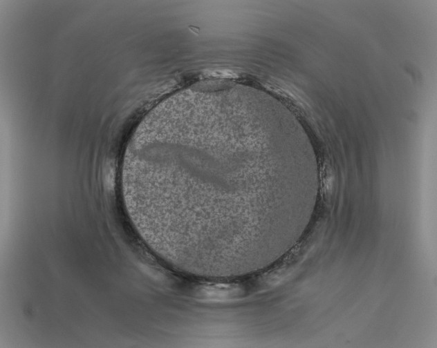 X0000113240315200910011331