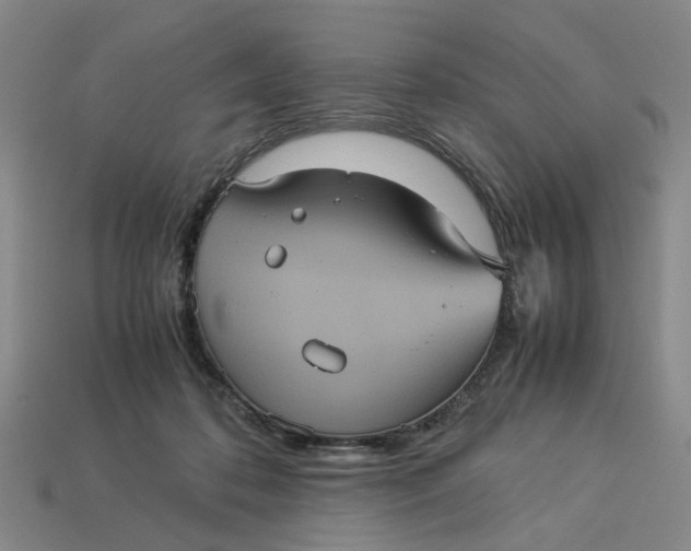 X0000113240316200910011331