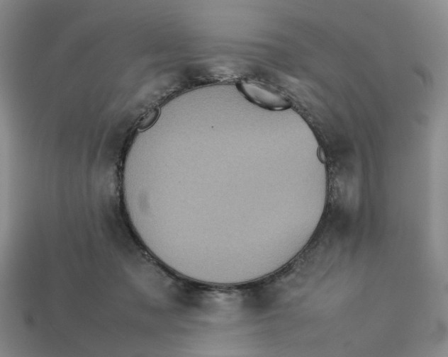 X0000113240317200910011331