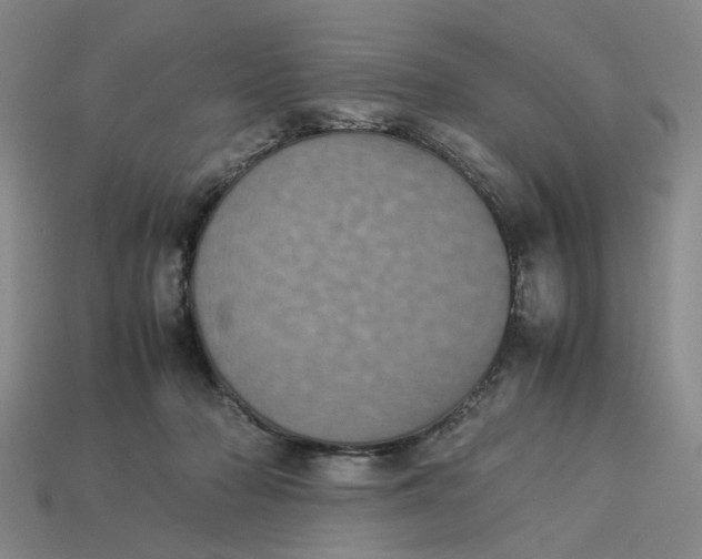 X0000113240318200910011331