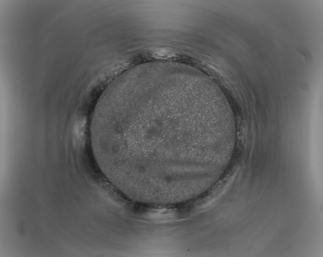 X0000113240319200910011331