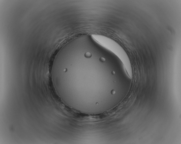 X0000113240320200910011331