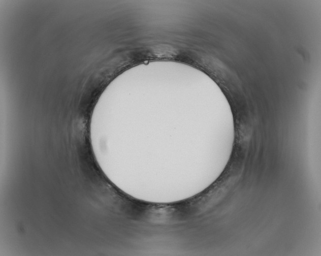 X0000113240321200910011331