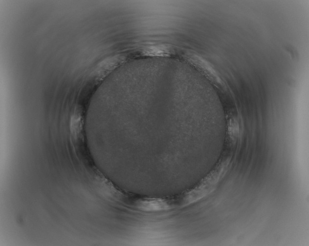 X0000113240322200910011331