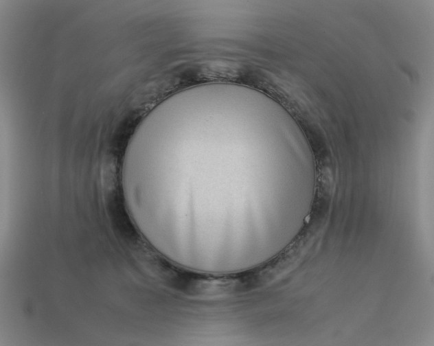 X0000113240323200910011331