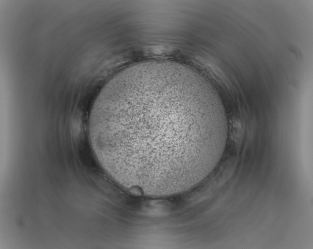 X0000113240324200910011331