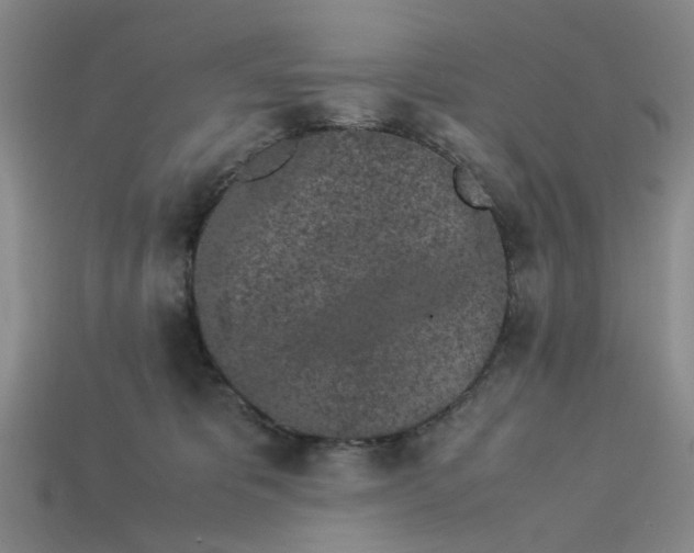 X0000113240325200910011331