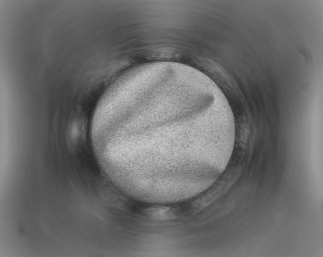 X0000113240326200910011331