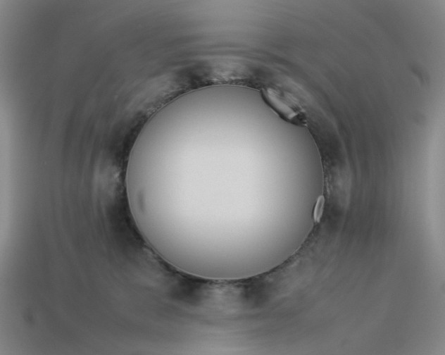 X0000113240327200910011331