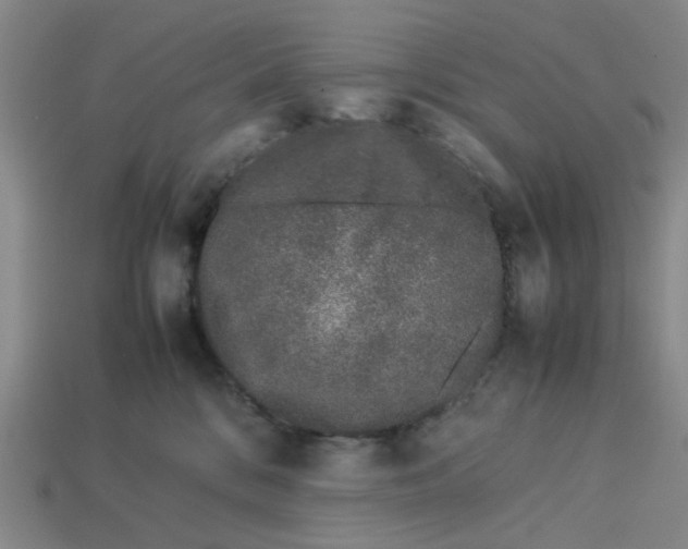 X0000113240328200910011331