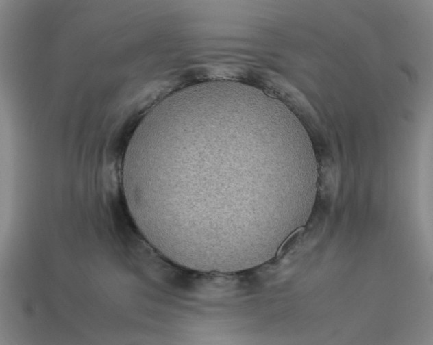 X0000113240329200910011331