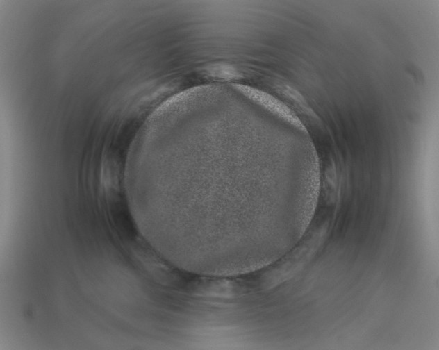 X0000113240330200910011331