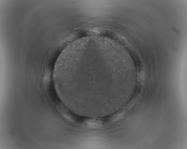 X0000113240331200910011331