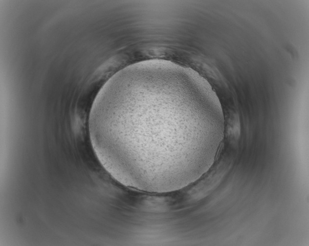 X0000113240332200910011331